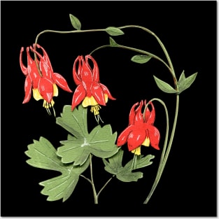 Columbine Posters and Art